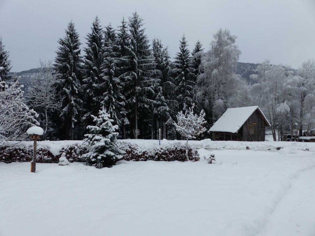 Apartmán Haus Ertel Hermagor-Pressegger See Exteriér fotografie